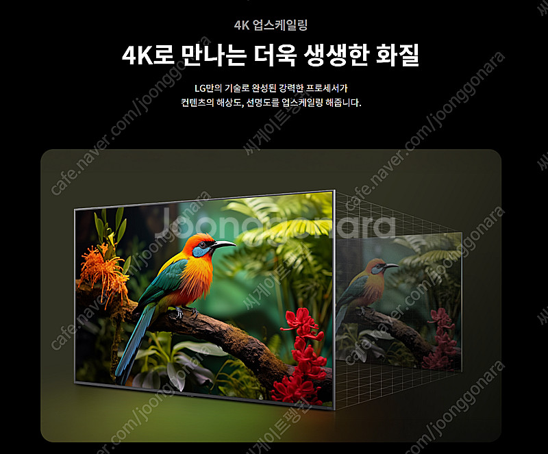 LG TV 50인치 판매합니다 4K UHD 화질 새상품...--1