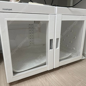 붐펫 드라이룸 단델리온 듀얼