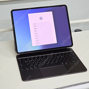 애플 아이패드 프로 M4 13인치 WIFI + 정품 매직키보드
