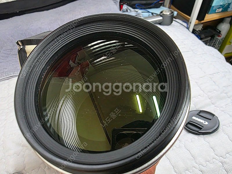 캐논 EF100-400L 1세대 팝니다--6