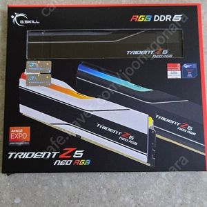 지스킬 G.SKILL DDR5 CL30 TRIDENT Z5 RGB J패키지 (96GB(48X2))