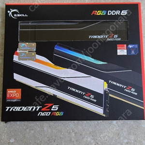 지스킬 G.SKILL DDR5 CL30 TRIDENT Z5 RGB J패키지 (96GB(48X2))