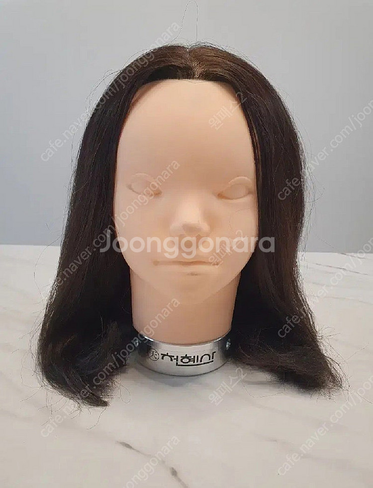 천혜사 스파니엘 통가발--1