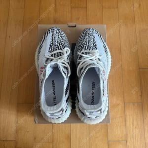 이지부스트 지브라 350 V2 275