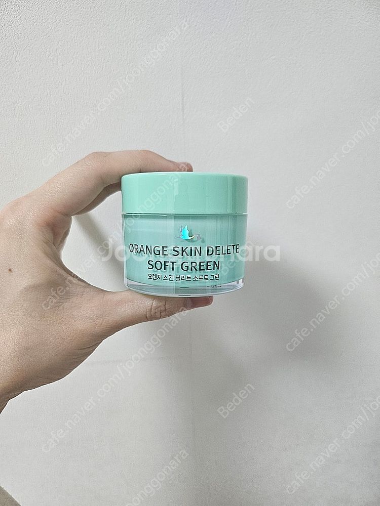 보나메두사 그린 프라이머--0