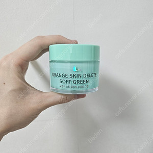 보나메두사 그린 프라이머