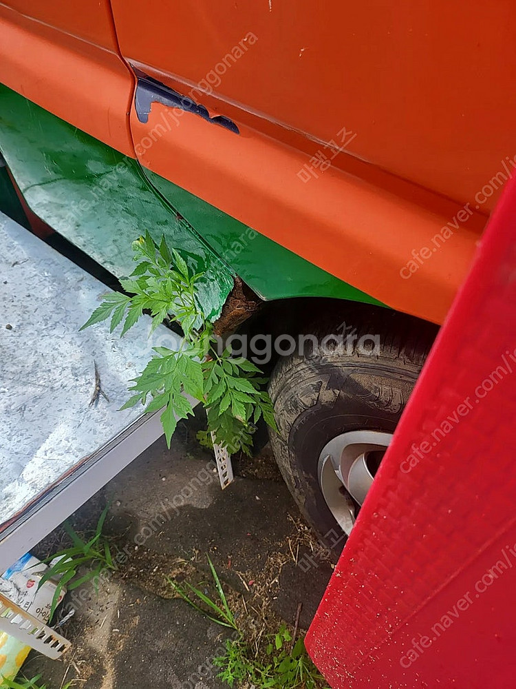 03년 개구리 푸드트럭 팝니다 157000k--7