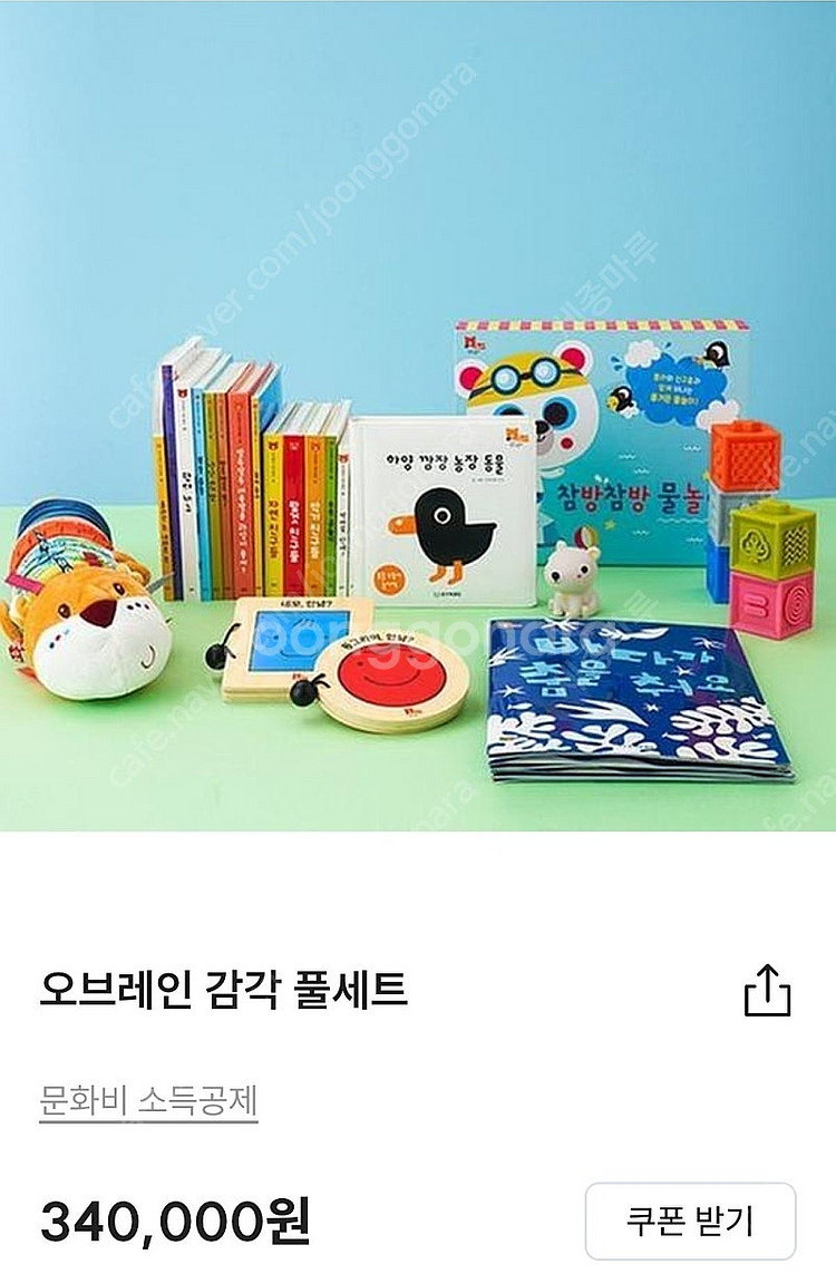 오브레인 감각풀세트--0