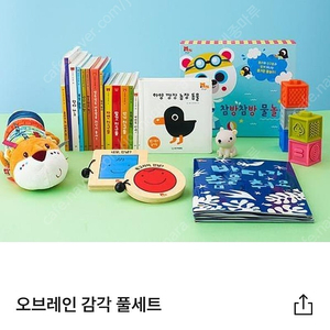 오브레인 감각풀세트