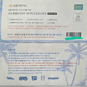 소노 워터파크 2인 입장권 2장 - 총4명 11만원