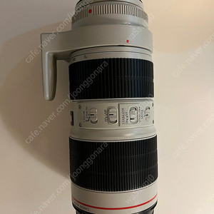 캐논 렌즈 EF 70-200 f2.8 IS III USM 새새아빠 팝니다