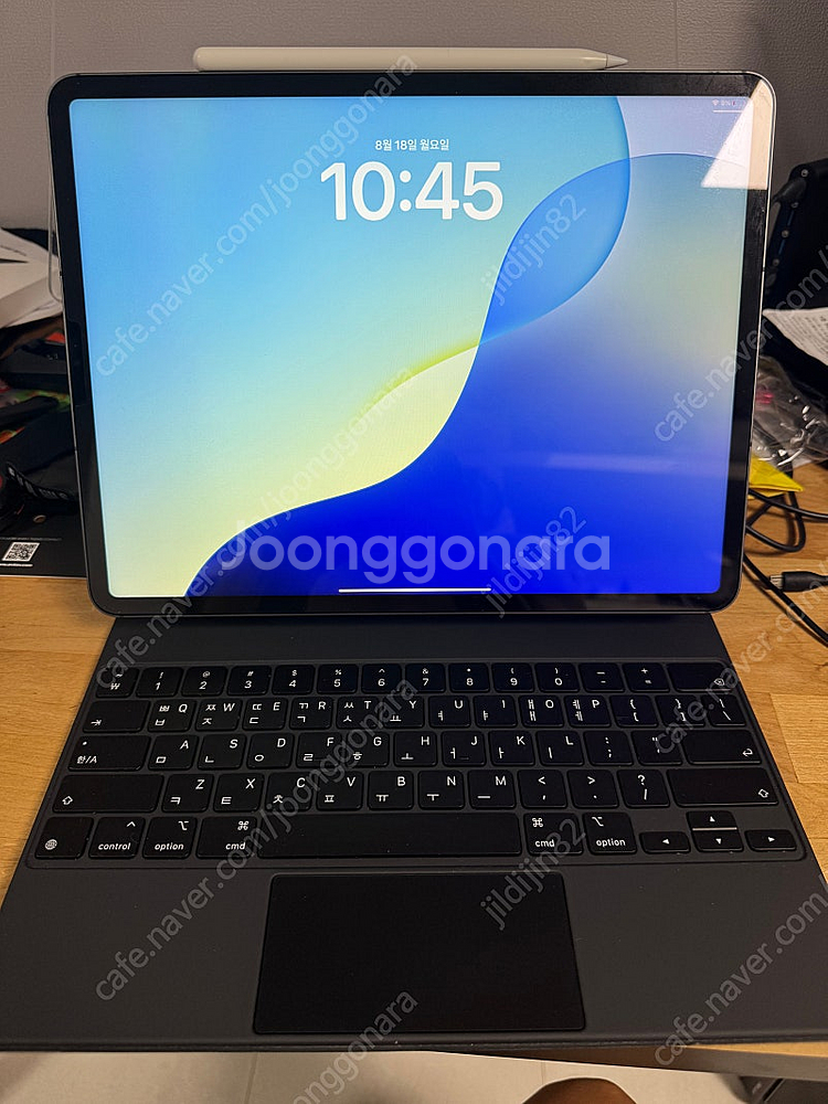 아이패드프로 5세대 12.9셀룰러(256g)+애플펜슬+...--2
