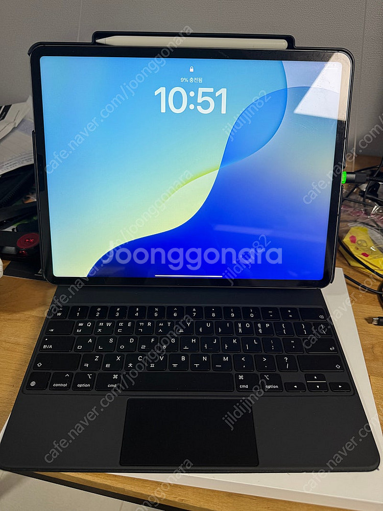 아이패드프로 5세대 12.9셀룰러(256g)+애플펜슬+...--9