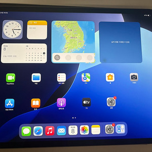 아이패드 프로 256GB