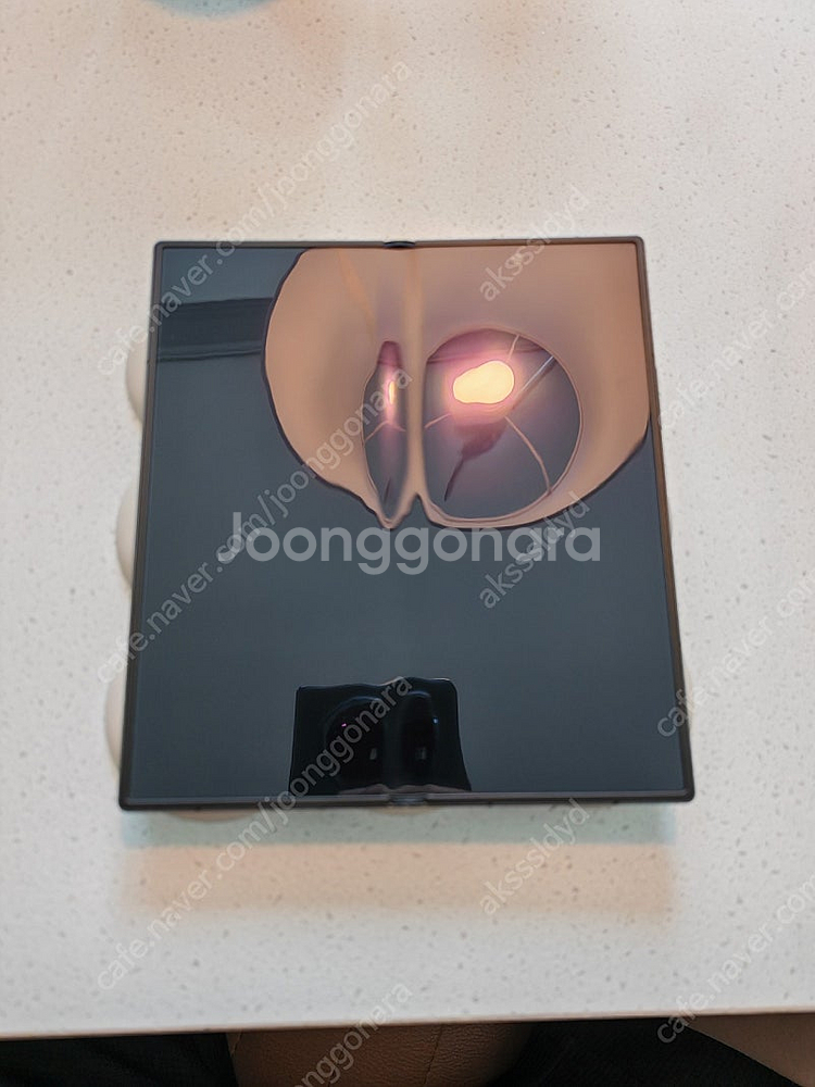 갤럭시 폴드 se 자급제 팝니다--0