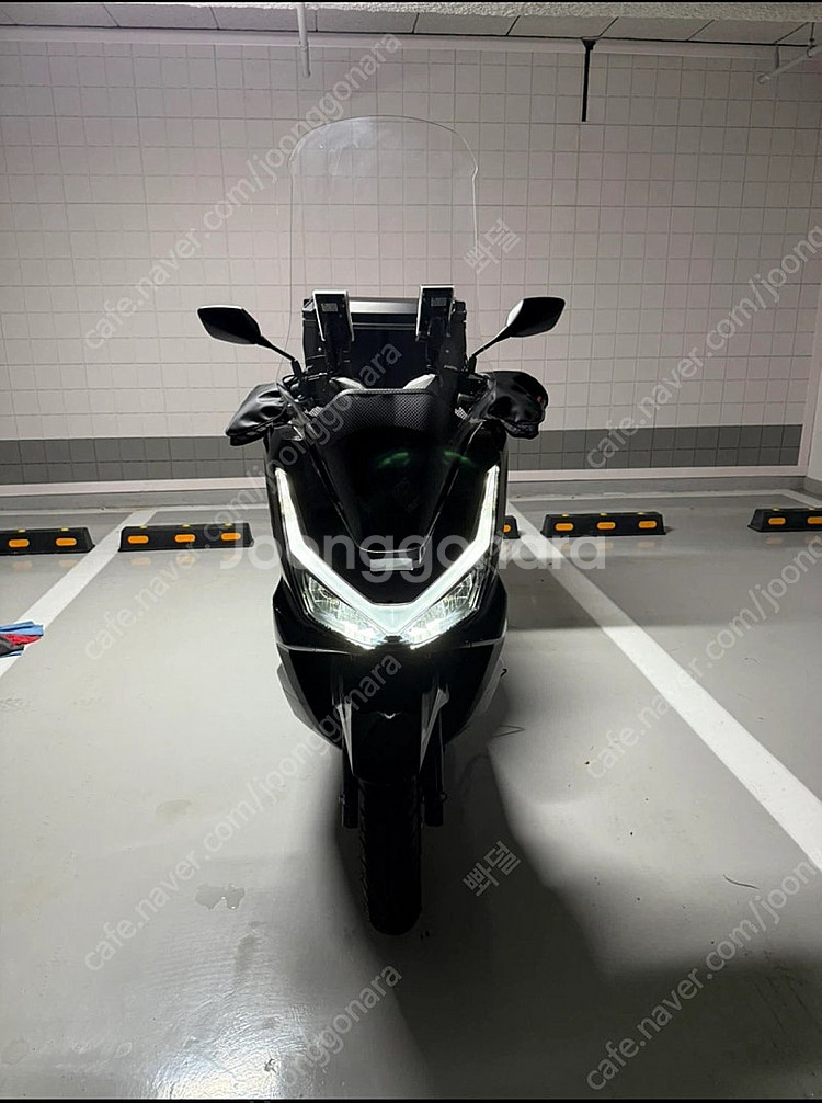 혼다 PCX 125 2025년식--0