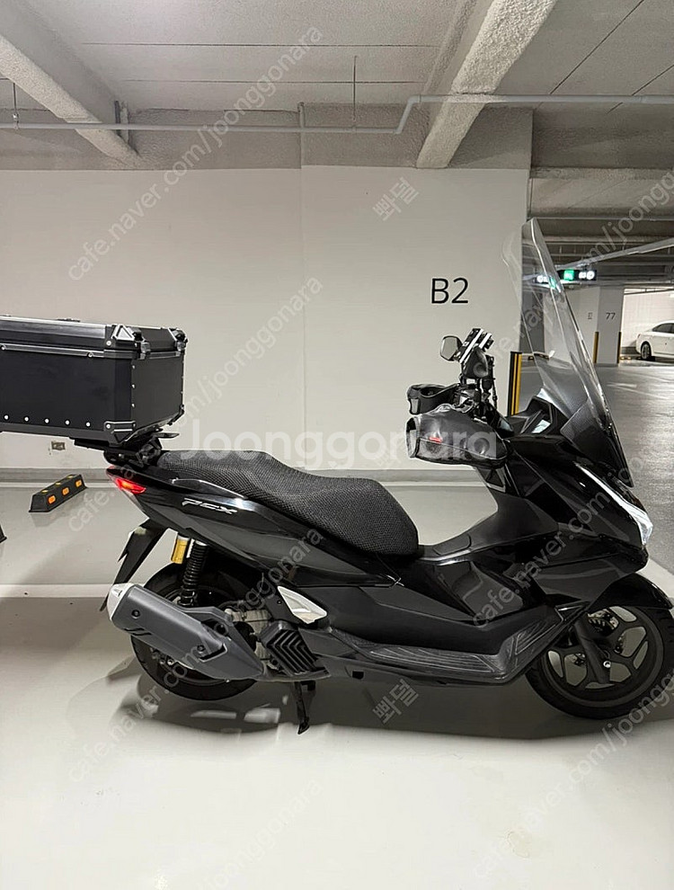 혼다 PCX 125 2025년식--1