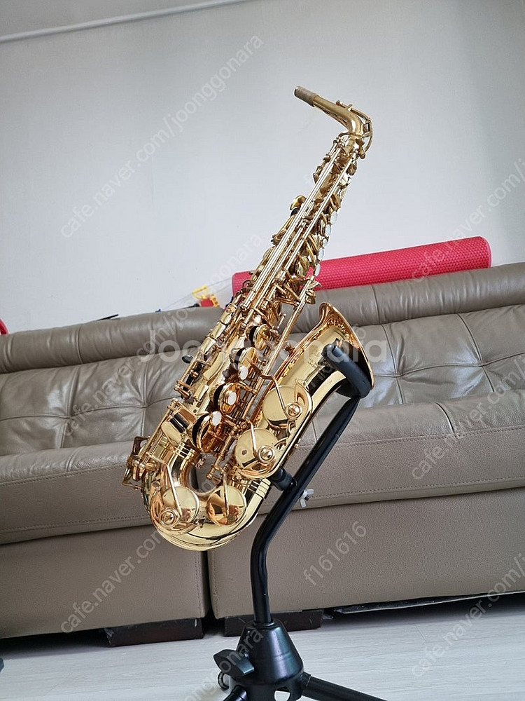 알토색소폰 쥬피터 JAS-769-767(대만) 저렴히 ...--1