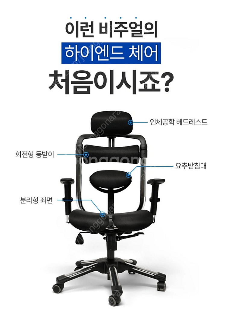 100억 연구비 허리피는 하라체어 명품형 (보테가베네타...--3
