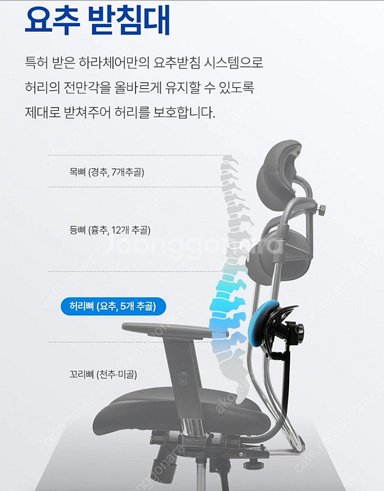 100억 연구비 허리피는 하라체어 명품형 (보테가베네타...--4