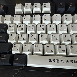 덱 거북선 프랑슘 갈축 판매합니다