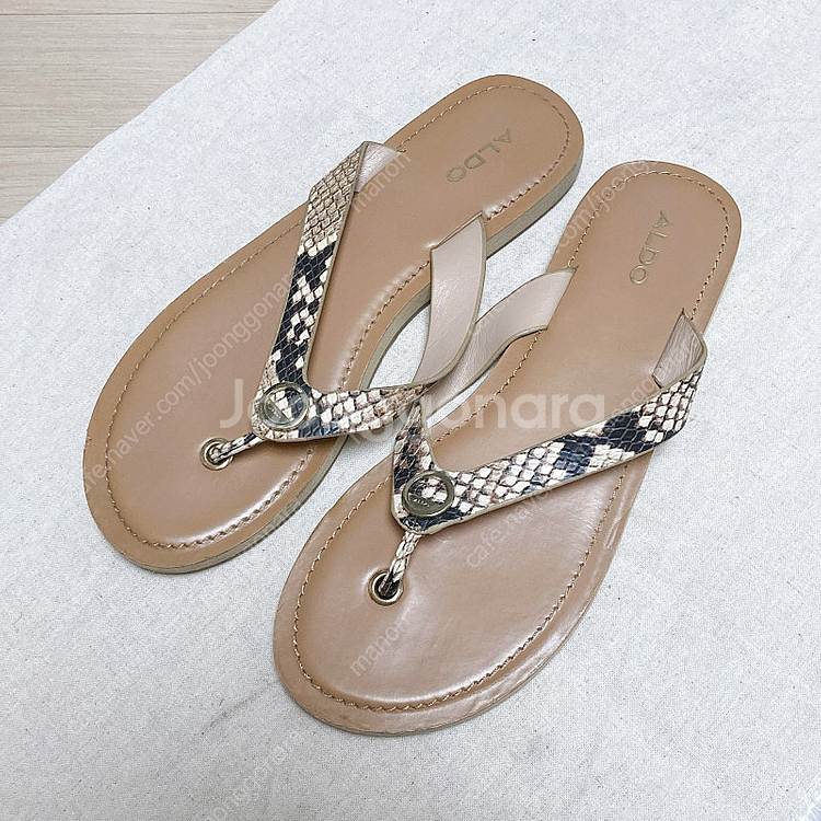 ALDO 여성 쪼리 샌들 240--0