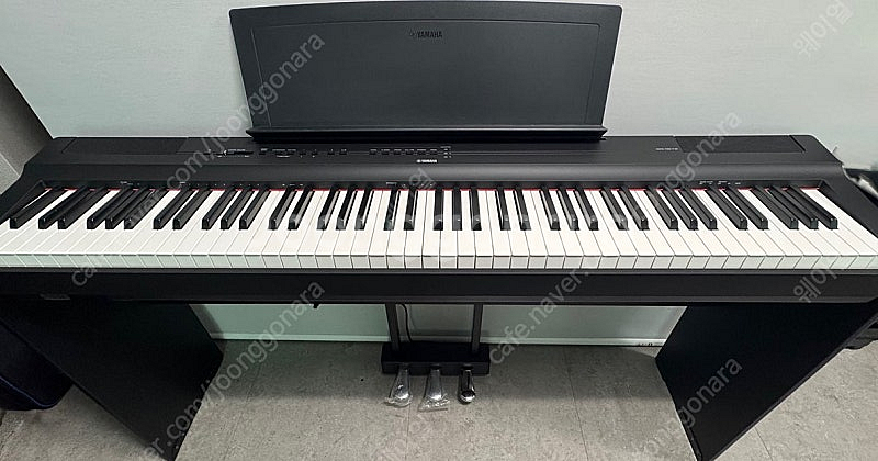 야마하 P-125+L125+LP1 풀세트 목재스탠드 3...--0