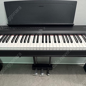 야마하 P-125+L125+LP1 풀세트 목재스탠드 3페달 포함 판매 YAMAHA P125 LP-1 L-125