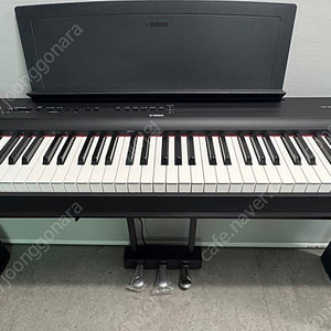 야마하 P-125+L125+LP1 풀세트 목재스탠드 3페달 포함 판매 YAMAHA P125 LP-1 L-125