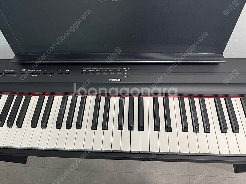 야마하 P-125+L125+LP1 풀세트 목재스탠드 3...--3