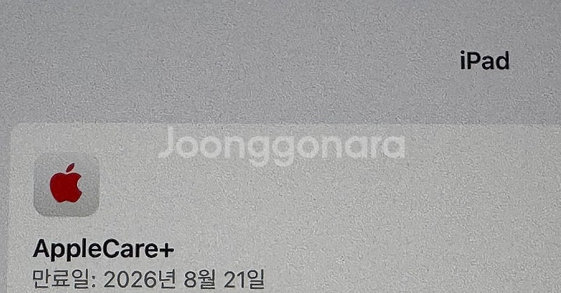 아이패드 M4 13 셀룰러 1TB 나노텍스처--1