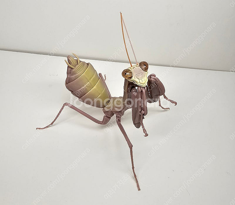 반다이 생물대도감 말벌 전갈 사마귀 등등--6
