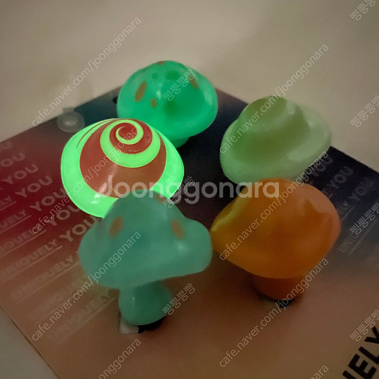 크록스 정품 버섯지비츠--2