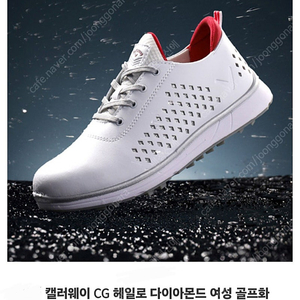 (여.245 +) 캘러웨이 여성 골프화, 골프 슈즈 / 라운딩 골린이 /택포3