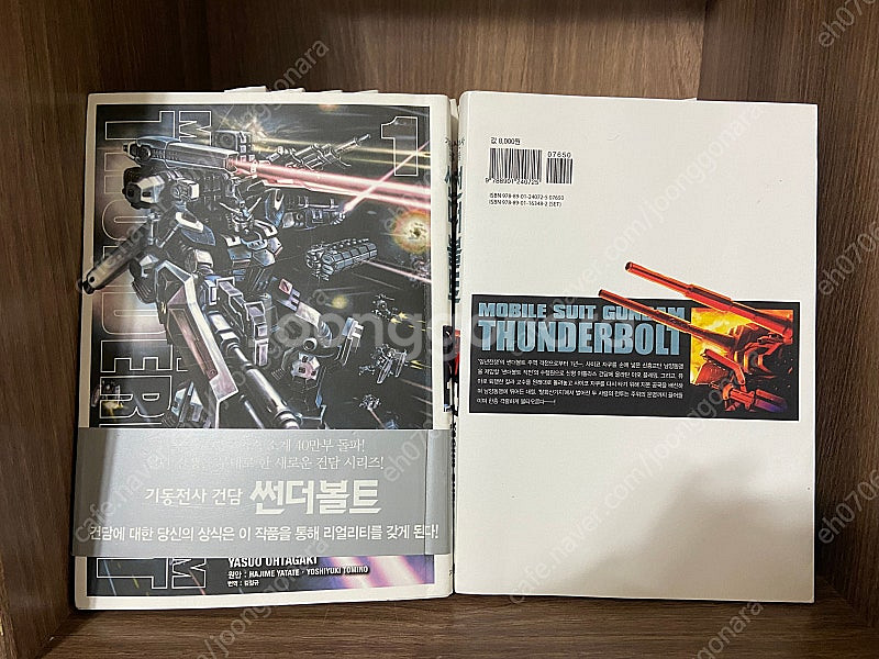 기동전사건담UC반데시네, 썬더볼트, 타부타부--6