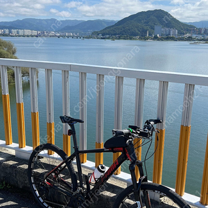 엘파마 페이스 P8000 팝니다