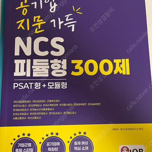 혼잡 공기업 지문 가득 ncs 피듈형 300제