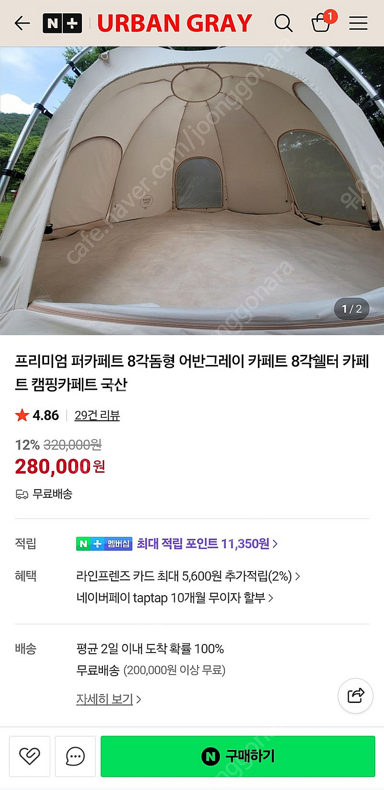 어반그레이 버니돔(카페트 포함)--5
