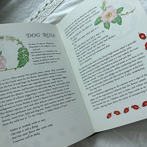 빈티지북 팝니다 인테리어나 소품으로 좋아요