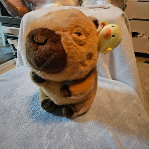 카피바라 인형 가방팝니다~