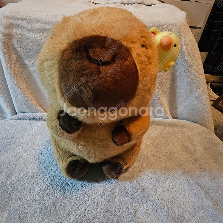 카피바라 인형 가방팝니다~--1