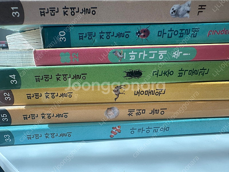 핀덴카 핀덴자동차--9