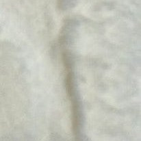 오스트르