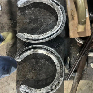 행운의 말편자 경주마 말편자 풍수지리 인테리어 금전운