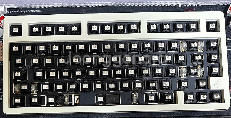 오울랩 젤리 이볼브 Owlab Jelly Evolv 크...--0