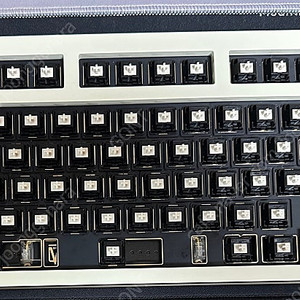 오울랩 젤리 이볼브 Owlab Jelly Evolv 크림 싱글블로커