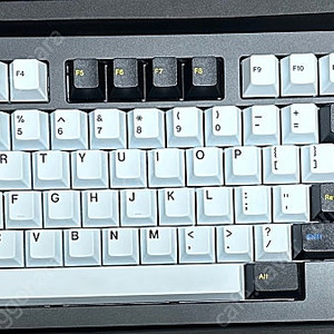 지온웍스 F1-8x 722 WKL (블랙) 키캡포함