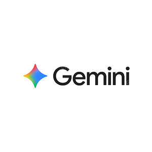 Gemini(제미나이) Pro 12개월