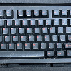 지온웍스 F1-8x V2 랩터 WK