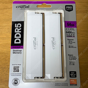 Crucial Pro DDR5 RAM 64GB 키트 (2x32GB) 6400MHz CL40 화이트